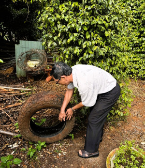 KHU PHỐ PHÚ CƯỜNG RA QUÂN DIỆT LĂNG QUĂNG PHÒNG, CHỐNG SỐT XUẤT HUYẾT