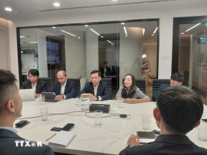 Việt Nam và Singapore thúc đẩy hợp tác kênh Đảng