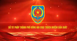 Phòng chống bạo lực gia đình, bình đẳng giới