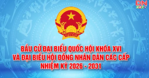 Đồng Nai: Sẵn sàng cho ngày hội lớn của đất nước