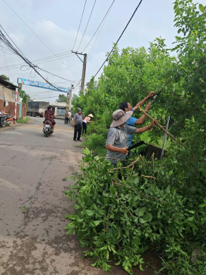 ĐỒNG LOẠT RA QUÂN VỆ SINH MÔI TRƯỜNG, PHÒNG CHỐNG SỐT XUẤT HUYẾT