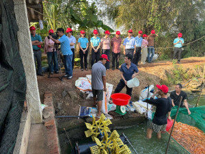 HỘI NÔNG DÂN XÃ BÌNH MINH TỔ CHỨC THAM QUAN, HỌC TẬP MÔ HÌNH NUÔI CÁ GIỐNG, CÁ CẢNH TẠI ẤP SÔNG MÂY