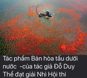Bình Minh trong tim tôi