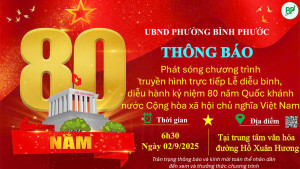 Thông báo phát sóng chương trình truyền hình trực tiếp Lễ diễu binh, diễu hành kỷ niệm 80 năm Quốc khánh nước Cộng Hoà Xã Hội Chủ Nghĩa Việt Nam