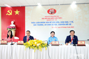 Quan tâm đầu tư hơn nữa cho lĩnh vực văn hóa, xã hội, môi trường