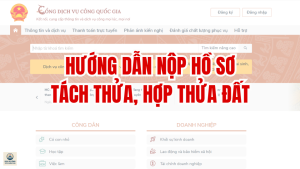 Video hướng dẫn hồ sơ tách thửa, hợp thửa đất