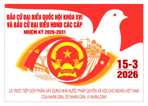 Quyết định thành lập 09 Ban bầu cử đại biểu Hội đồng nhân dân phường Bình Phước nhiệm kỳ 2026-2031