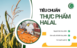 KHẢO SÁT NHU CẦU HỖ TRỢ ÁP DỤNG TIÊU CHUẨN HALAL CỦA DOANH NGHIỆP