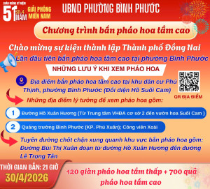 Rực rỡ bầu trời – Chương trình bắn pháo hoa tầm cao chào mừng sự kiện thành lập Thành phố Đồng Nai.