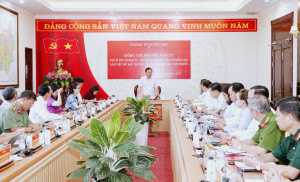 CT ĐN NVU
