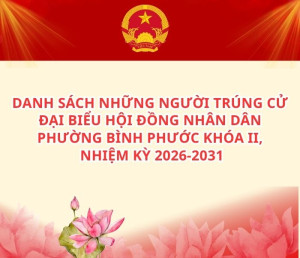 Danh sách những người trúng cử Đại biểu HĐND phường Bình...