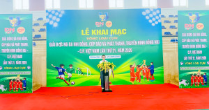Khai mạc Vòng loại Cụm 8 - Giải bóng đá nhi đồng Cúp Báo và Phát thanh - Truyền hình Đồng Nai - C.P. Việt Nam lần thứ 21