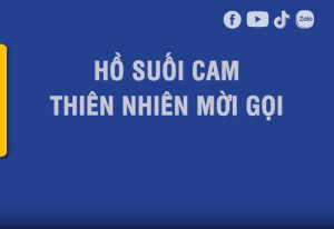 Video of Suoi Cam Lake, Binh Phuoc Ward, inviting nature