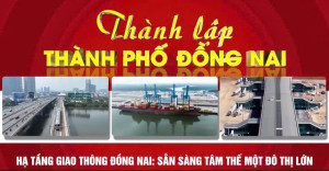 Hạ tầng giao thông Đồng Nai Sẵn sàng tâm thế một đô thị lớn