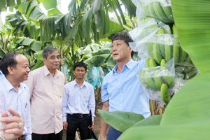 ​Kinh tế Đồng Nai vẫn thuộc tốp đầu cả nước