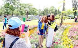 ​Người dân đón Tết Dương lịch vui tươi