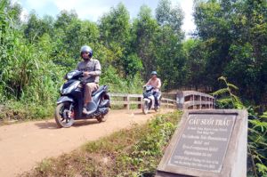 ​Chủ động đẩy nhanh tiến độ thực hiện Dự án Sân bay quốc tế Long Thành