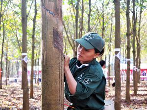 Sức bật từ những “bàn tay vàng”