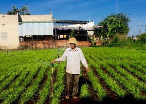 “Đất hẹ” vào Xuân