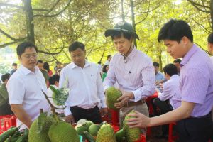 ​Cẩm Mỹ đạt chuẩn huyện nông thôn mới
