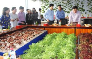 ​​Xuân Lộc sẽ trở thành huyện nông thôn mới kiểu mẫu của cả nước