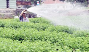 ​Chạy việc thời vụ dịp tết