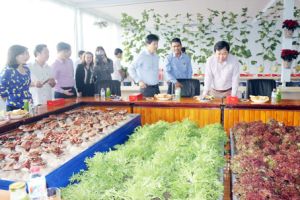 ​Xuân Lộc - hình mẫu huyện nông thôn mới kiểu mẫu