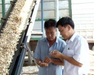 ​Từ nông dân thành chủ doanh nghiệp