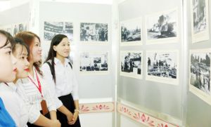 ​Nhiều lựa chọn giải trí tết