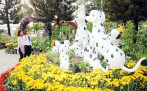 ​Đường hoa, hội hoa xuân đã sẵn sàng đón khách