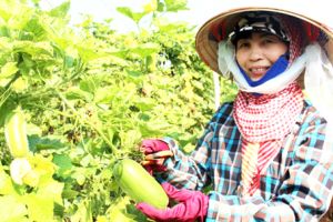 ​Sức bật đầu năm mới