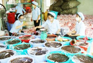 ​Công nhân lao động ngày tết