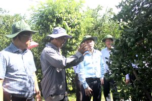 ​Thực hiện hiệu quả tái cơ cấu ngành nông nghiệp