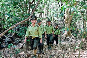 Giữ rừng mùa khô