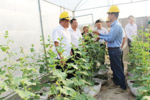 ​Xuân Lộc phấn đấu đạt huyện nông thôn mới kiểu mẫu hiện đại, bền vững