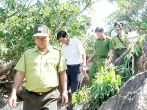 Không để “bà hỏa” xâm phạm rừng