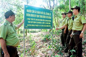 Bảo vệ tài nguyên trên núi Chứa Chan