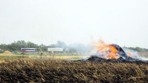 Vụ 6 xe ô tô tông liên hoàn trên đường cao tốc: Cảnh báo người dân tiếp tục đốt rơm