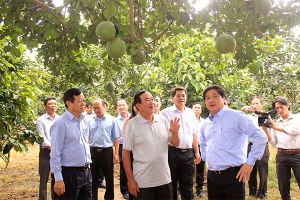 Đại hội điểm Hội Nông dân huyện Trảng Bom lần thứ IV, nhiệm kỳ 2018-2023:Đồng hành với nông dân