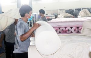 Thu hút đầu tư nước ngoài: Chọn lọc kỹ