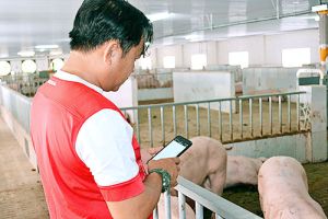 Long Thành phát động chương trình khởi nghiệp “Đường đến thành công”