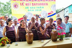 Men say của… rừng