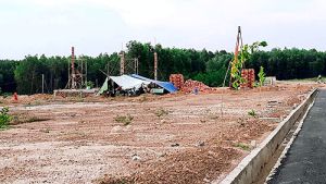 Chấn chỉnh tình trạng phân lô bán nền trái phép tràn lan