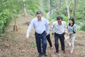 ​Giám sát về bảo vệ môi trường tại huyện Thống Nhất