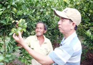 ​Học nghề để chủ động trong sản xuất