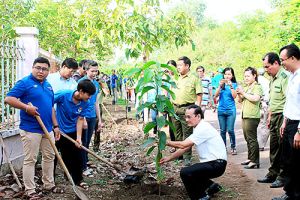 Phát động Tết trồng cây đời đời nhớ ơn Bác Hồ