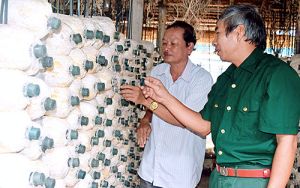 Cựu chiến binh làm kinh tế giỏi
