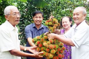 Vào mùa trái chín đầu hè