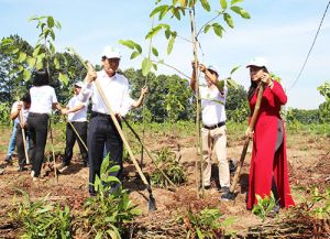Khai mạc “Tuần lễ Đồng Nai xanh” năm 2018