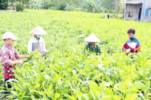 Chung tay bảo vệ trẻ khỏi bị xâm hại